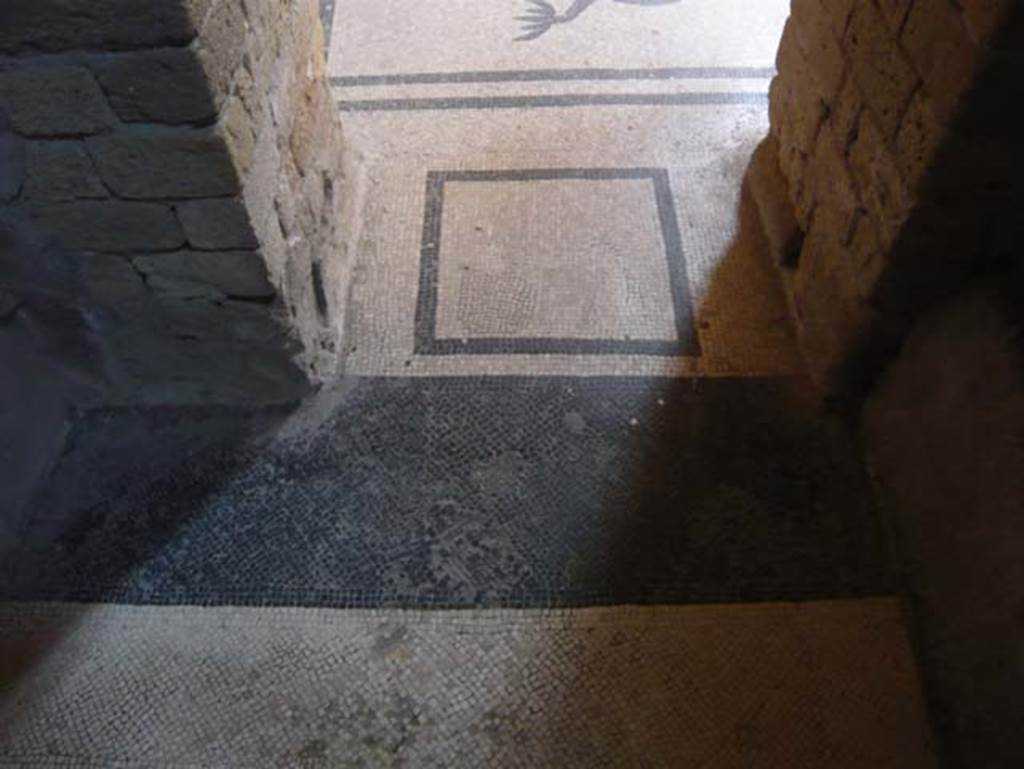 VI.8, Herculaneum. August 2013. Looking east towards mosaic threshold of doorway from tepidarium to apodyterium. Photo courtesy of Buzz Ferebee.